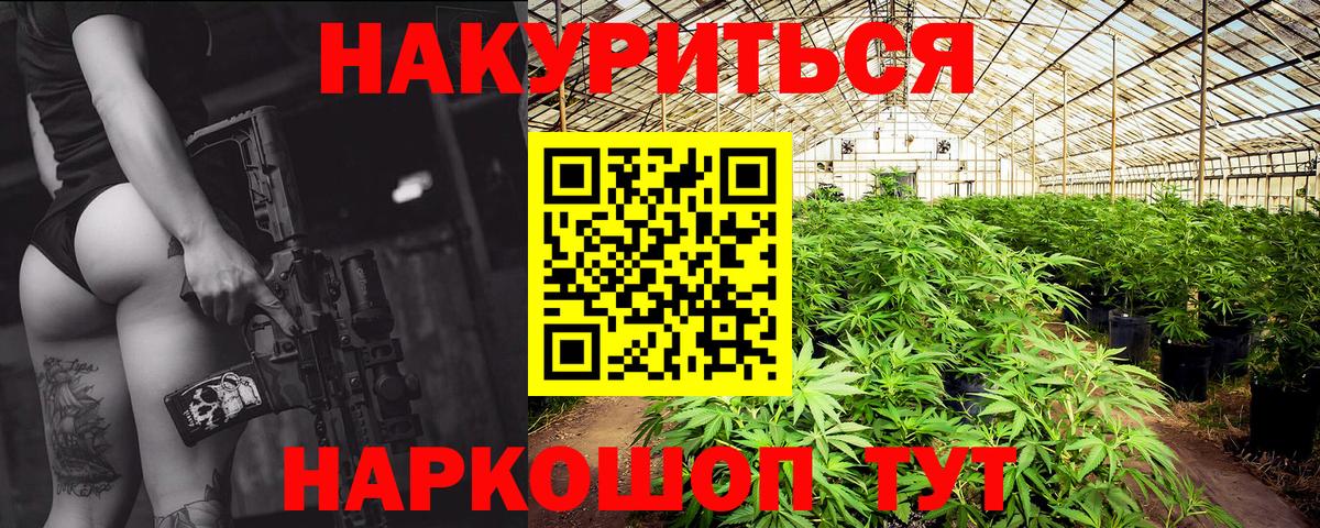 Канабис OG Kush Новоалтайск